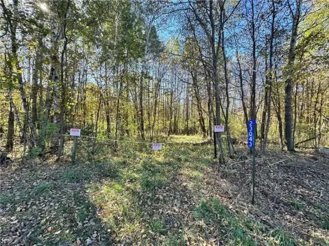 Hunting Land Near Long Prairie