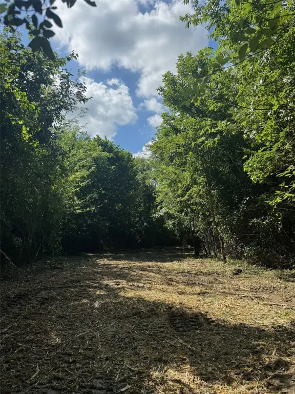 Picture 23