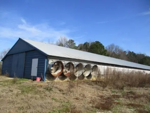 Layer Farm on 17.5 Acres
