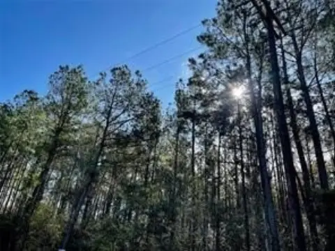 Secluded Acreage Near Lake Sam