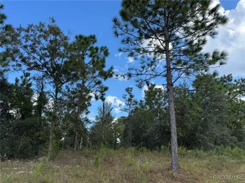 Citrus Springs Homesite Opportunity