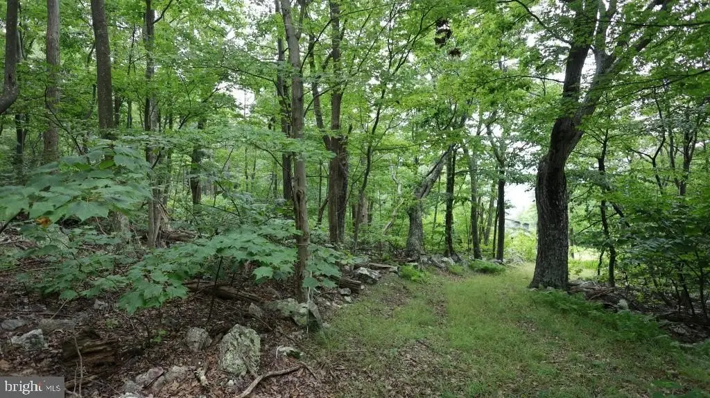Picture 4