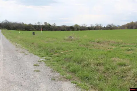 Residential Lots in Flippin, AR