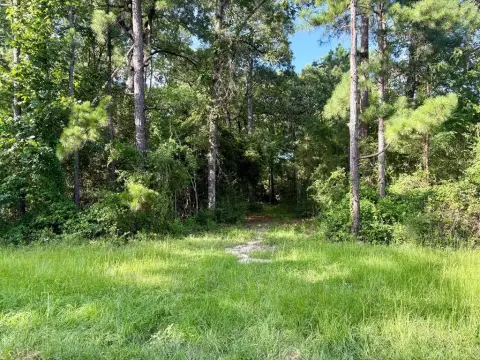 Unrestricted Wooded Lot Near Lake