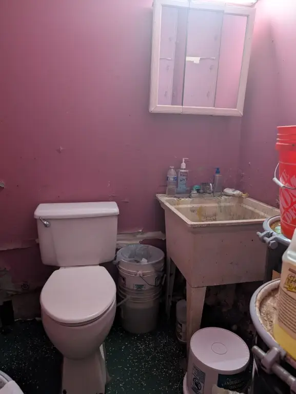 Picture 19