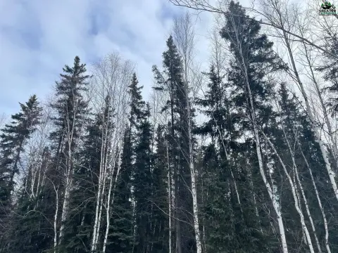 Fairbanks 6.4 Acre Residential Land