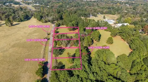 Residential Land in Whitehouse, Texas