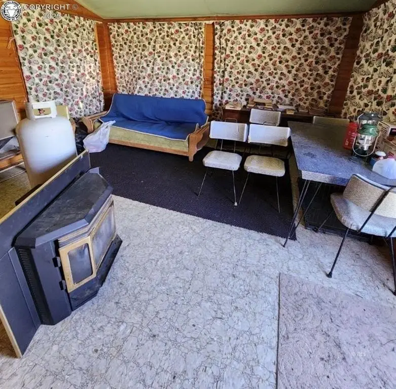 Picture 5