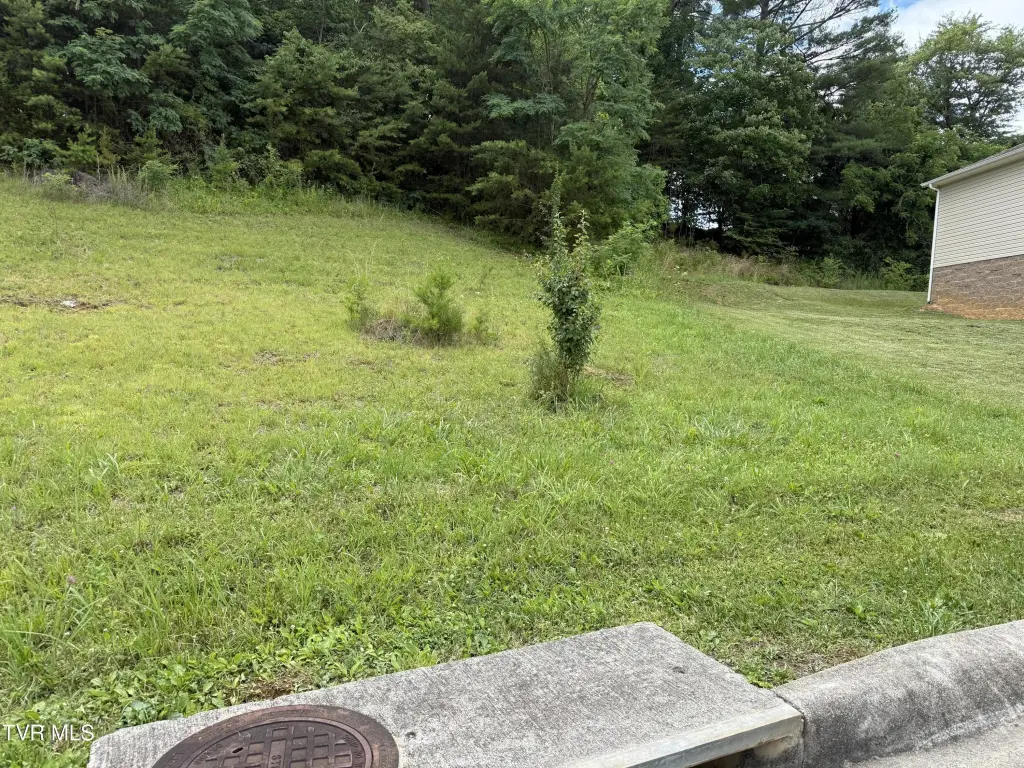 Picture 2