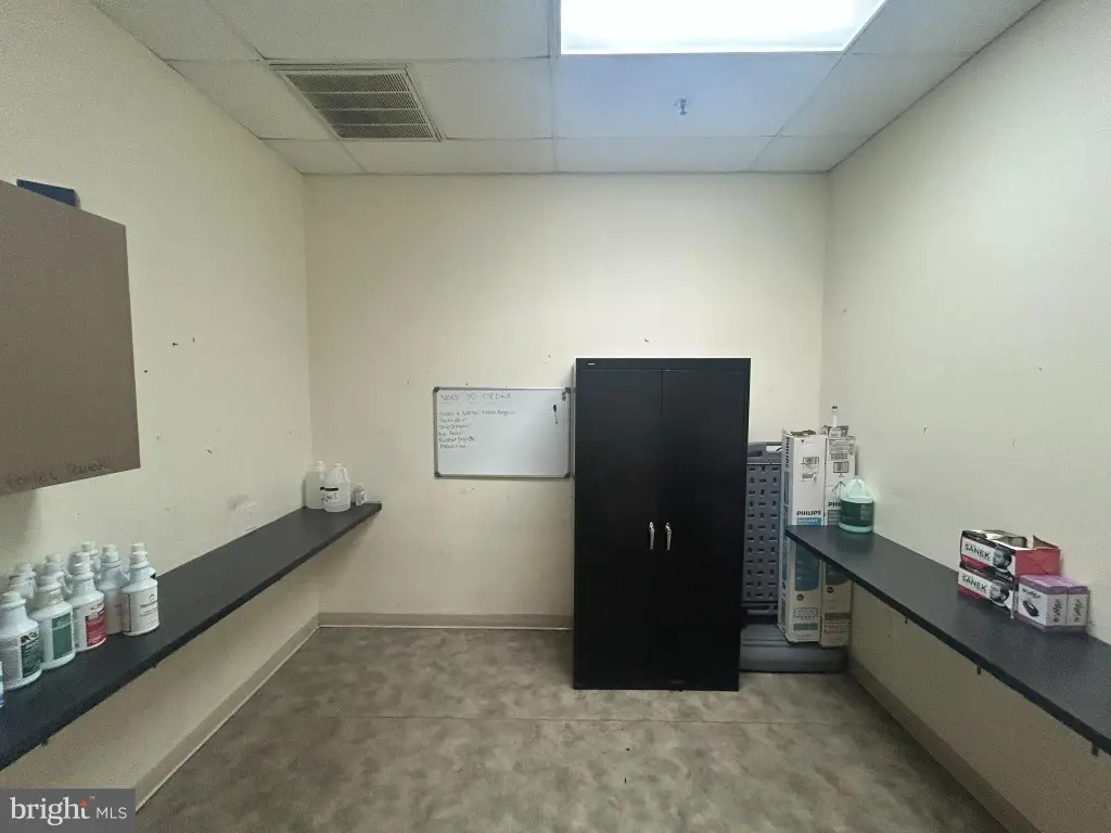 Picture 10
