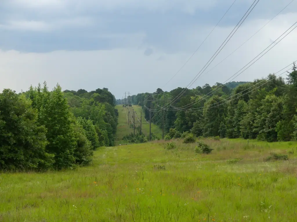 Picture 40