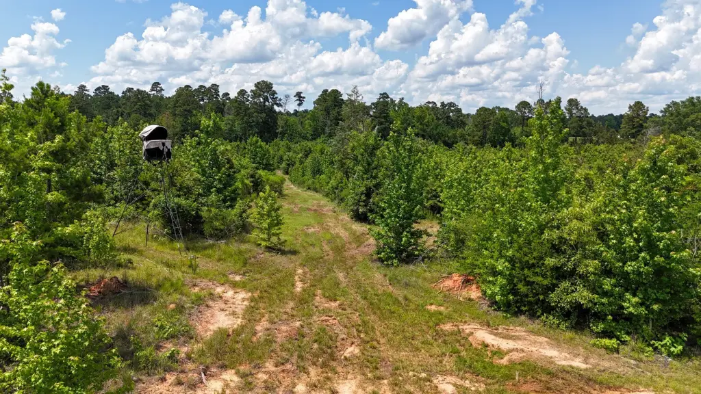 Picture 22