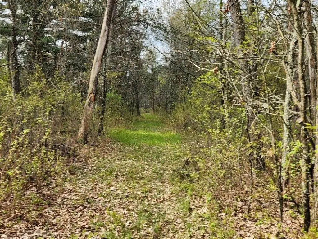 Picture 21