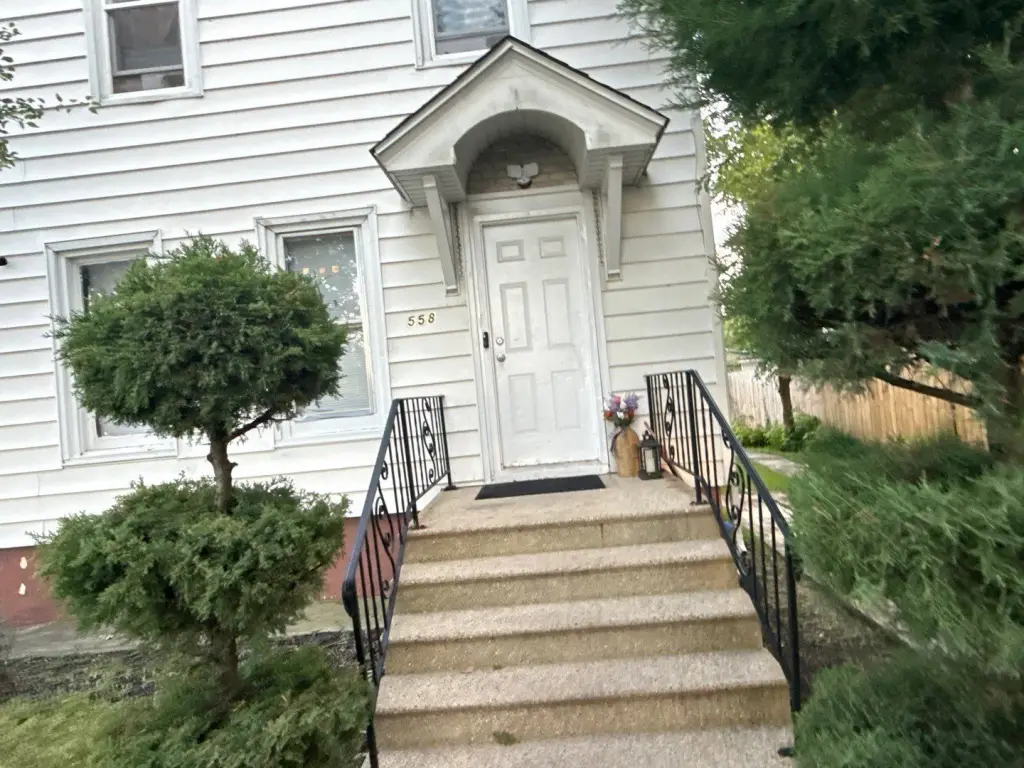 Picture 4
