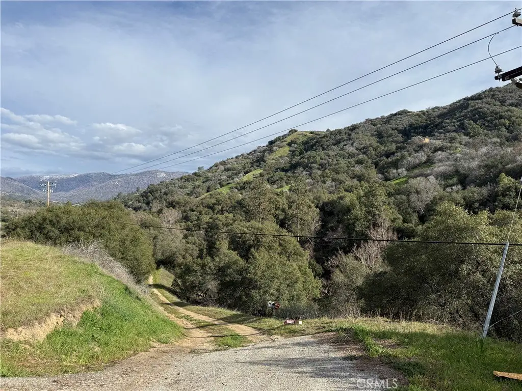 Picture 13