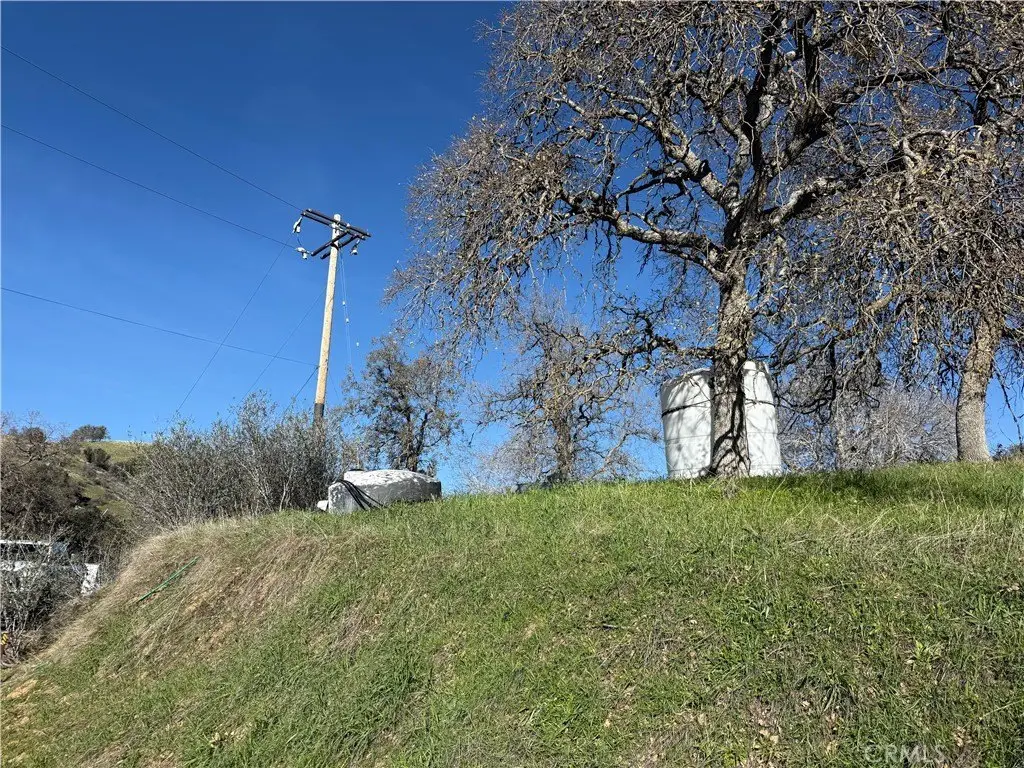 Picture 14