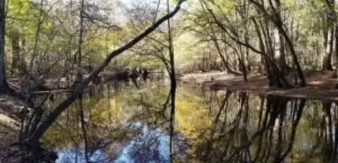 Dorchester Land for Hunting, Farming