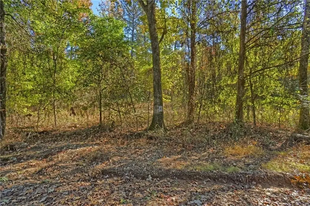 Picture 4