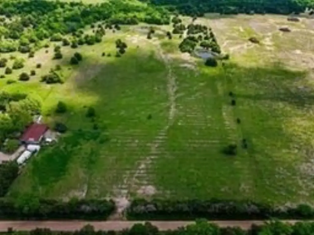 Picture 3