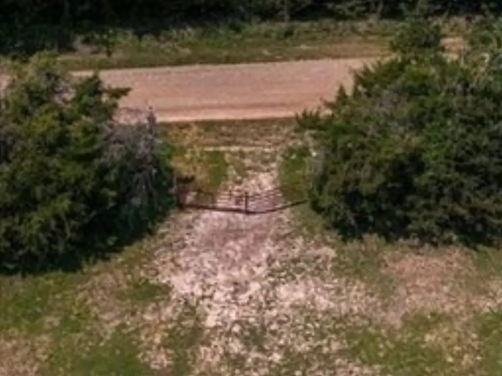 Picture 8