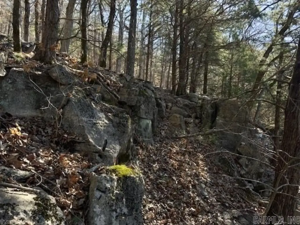 Picture 8