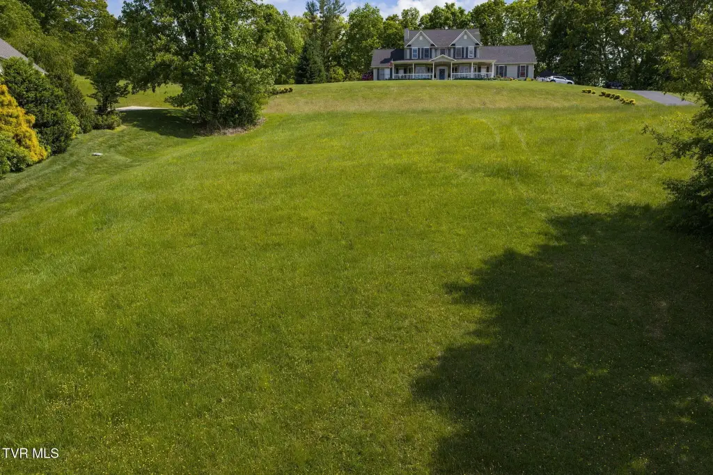 Picture 17