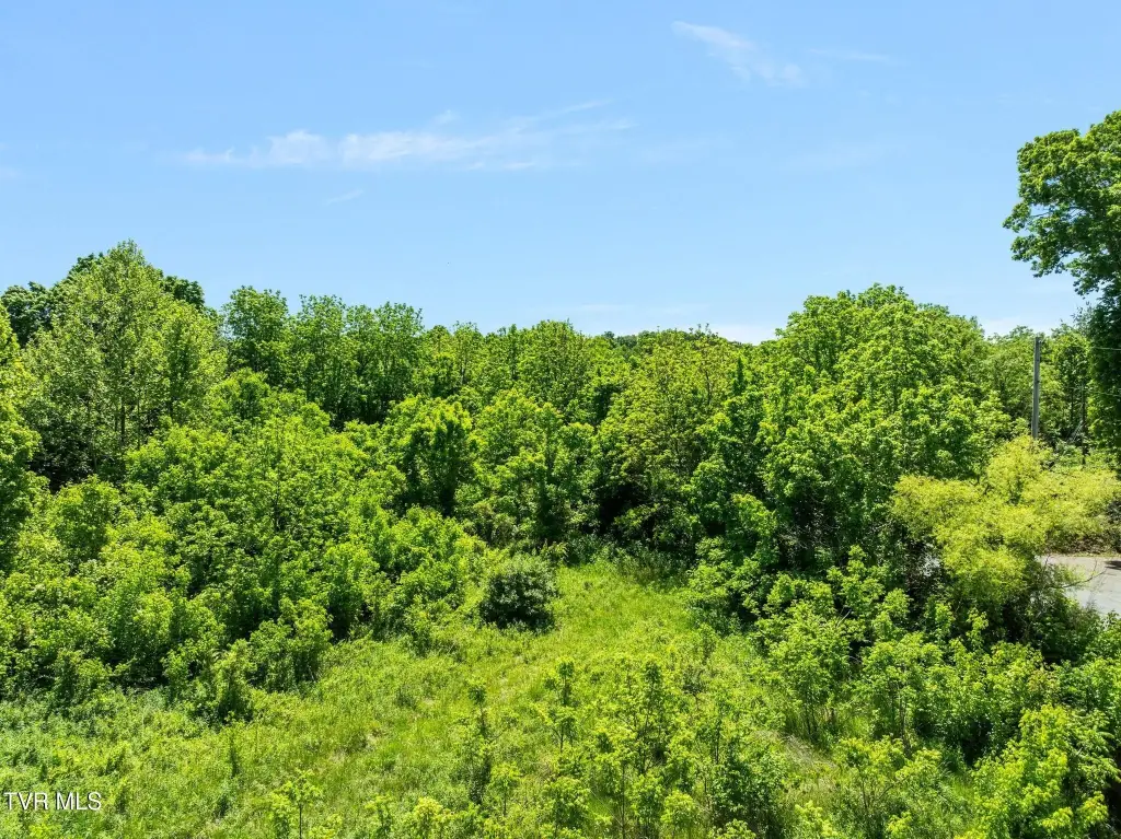 Picture 20