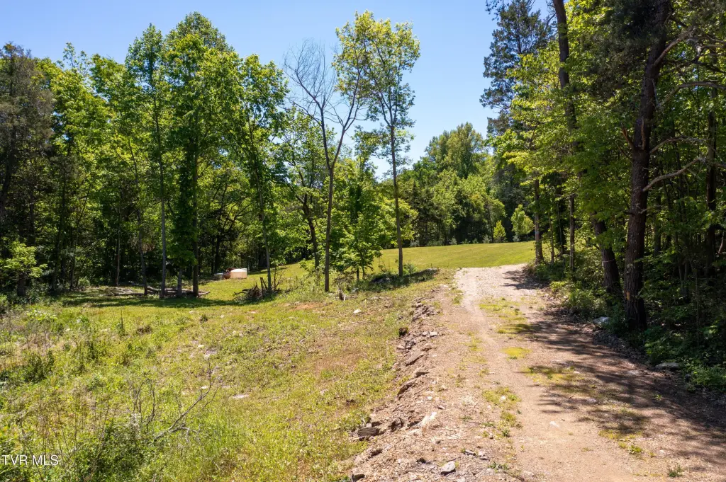 Picture 44