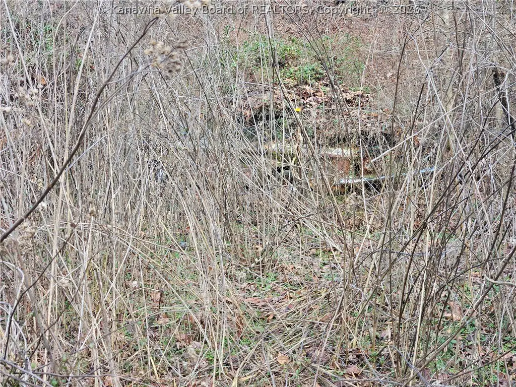 Picture 39