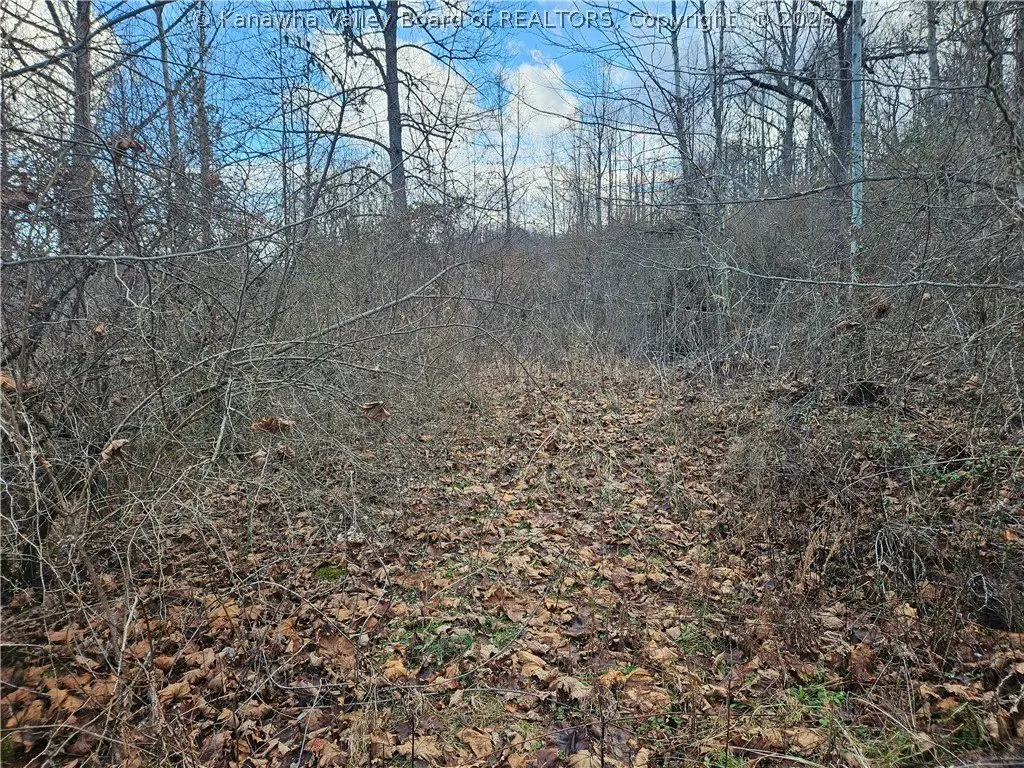 Picture 41