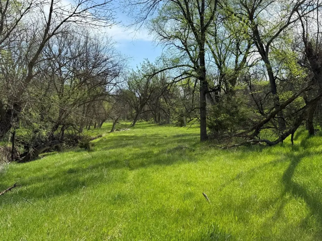 Picture 25