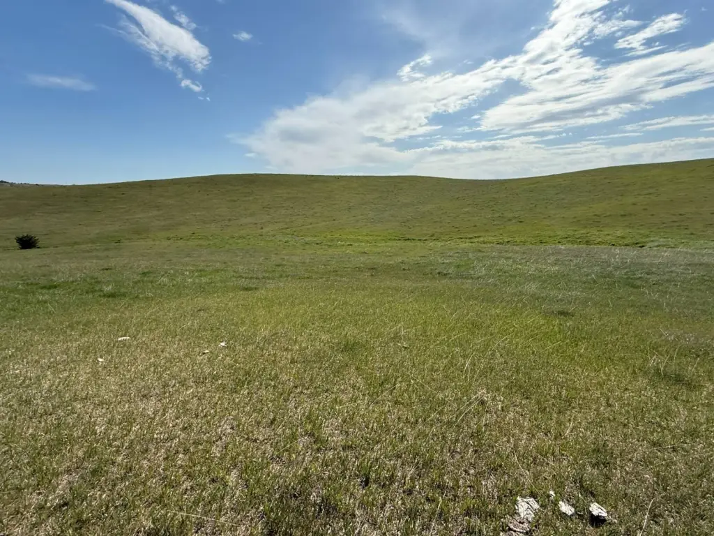Picture 30