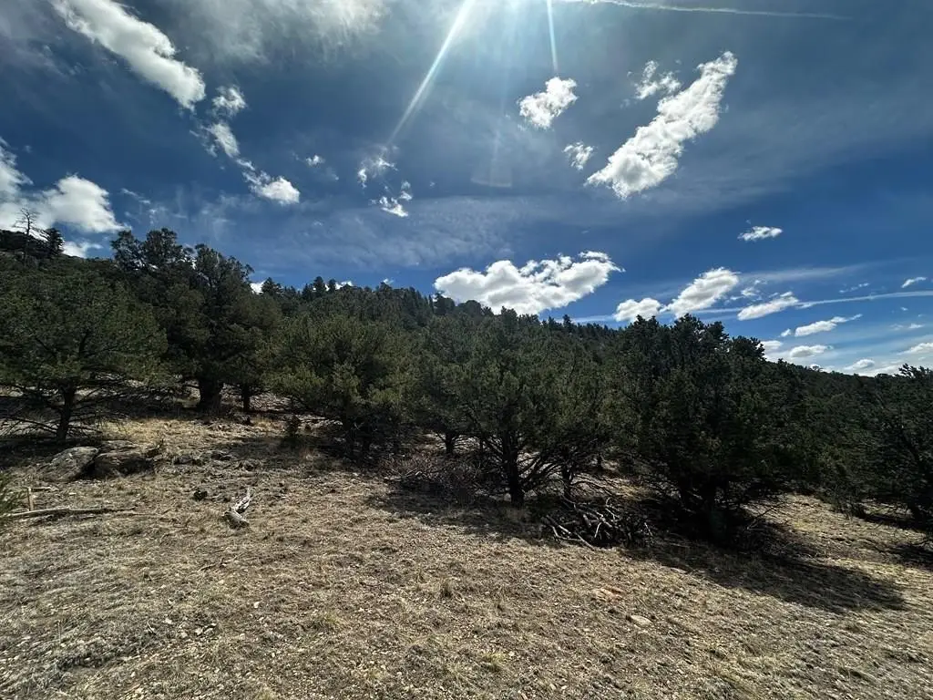 Picture 8