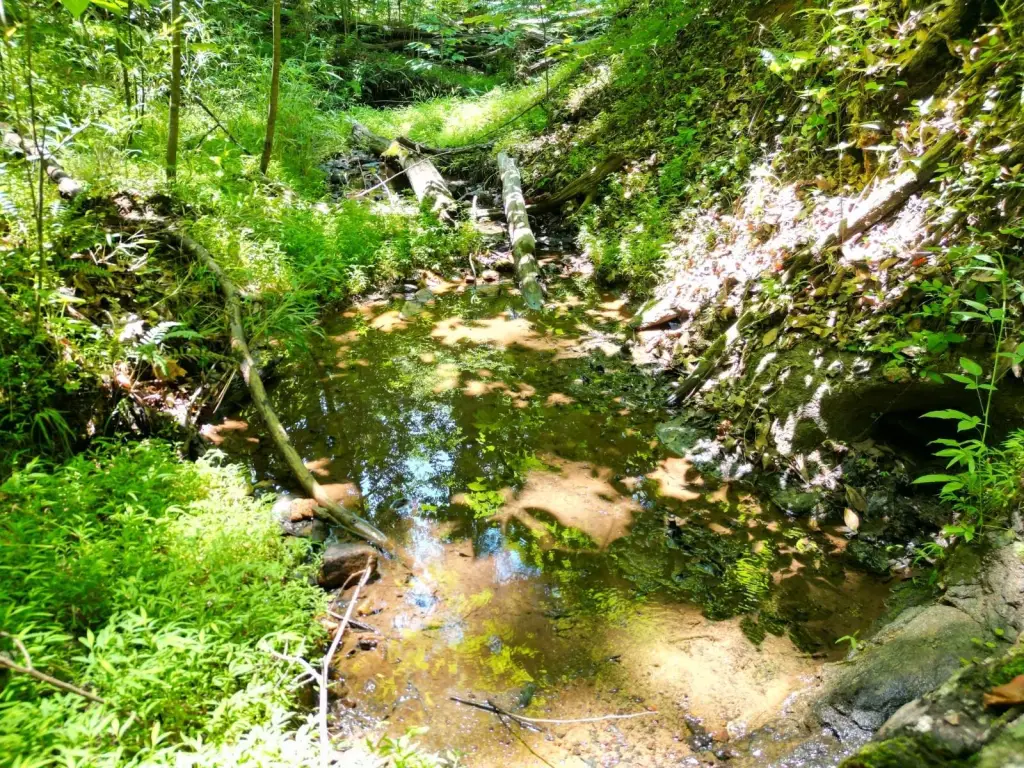 Picture 17