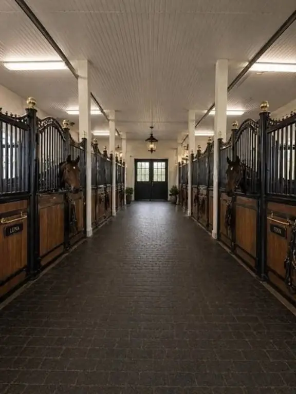 Picture 19