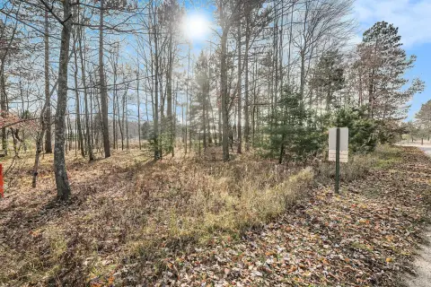 Stanwood, MI Wooded Lot