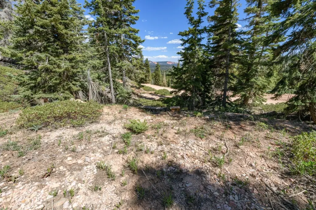 Picture 30