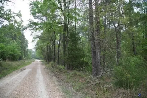Corrigan, TX Wooded Acreage