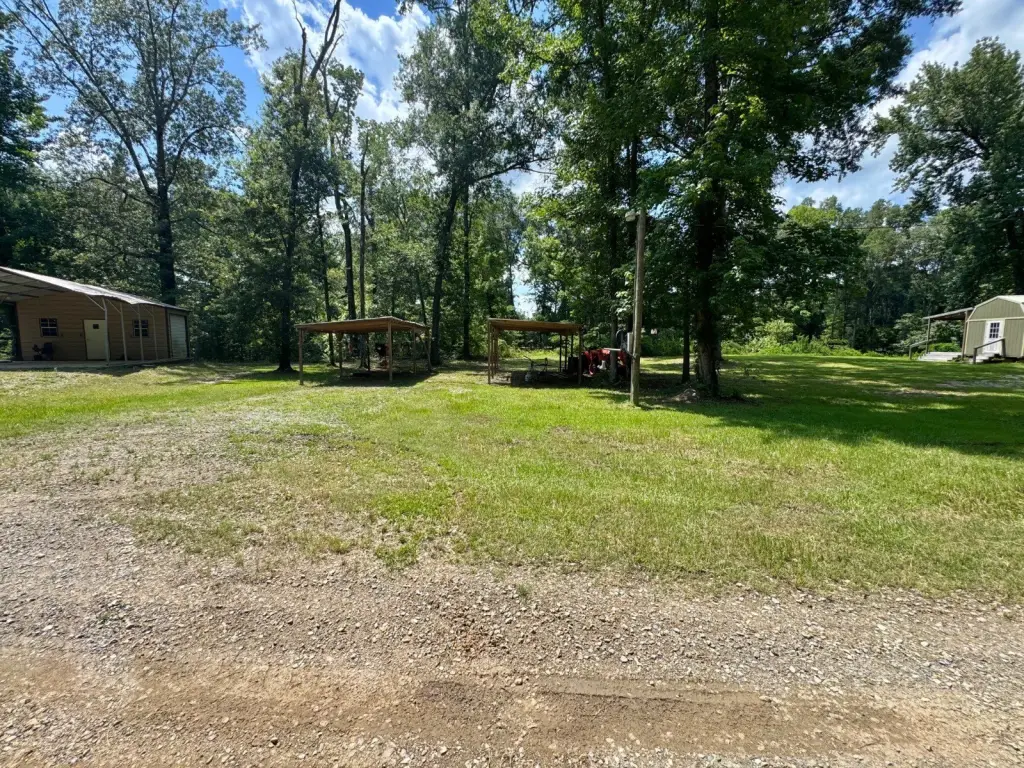 Picture 7
