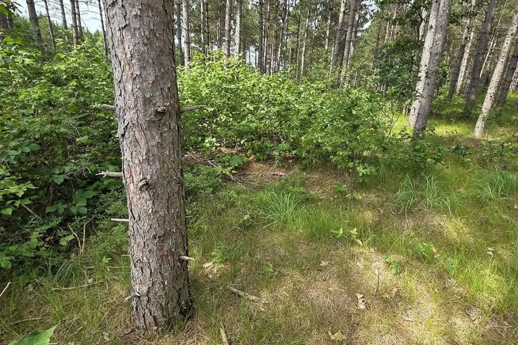 Picture 2