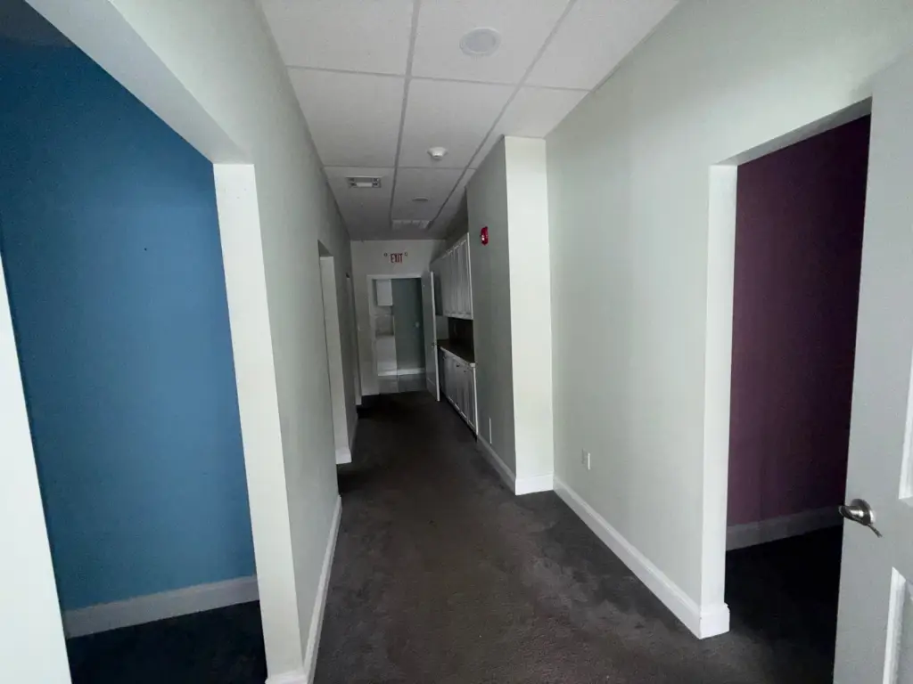 Picture 11