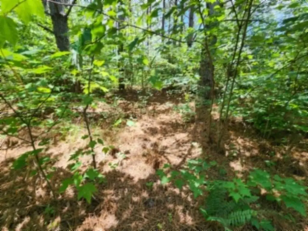 Picture 23