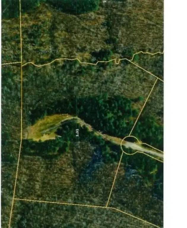 Picture 28