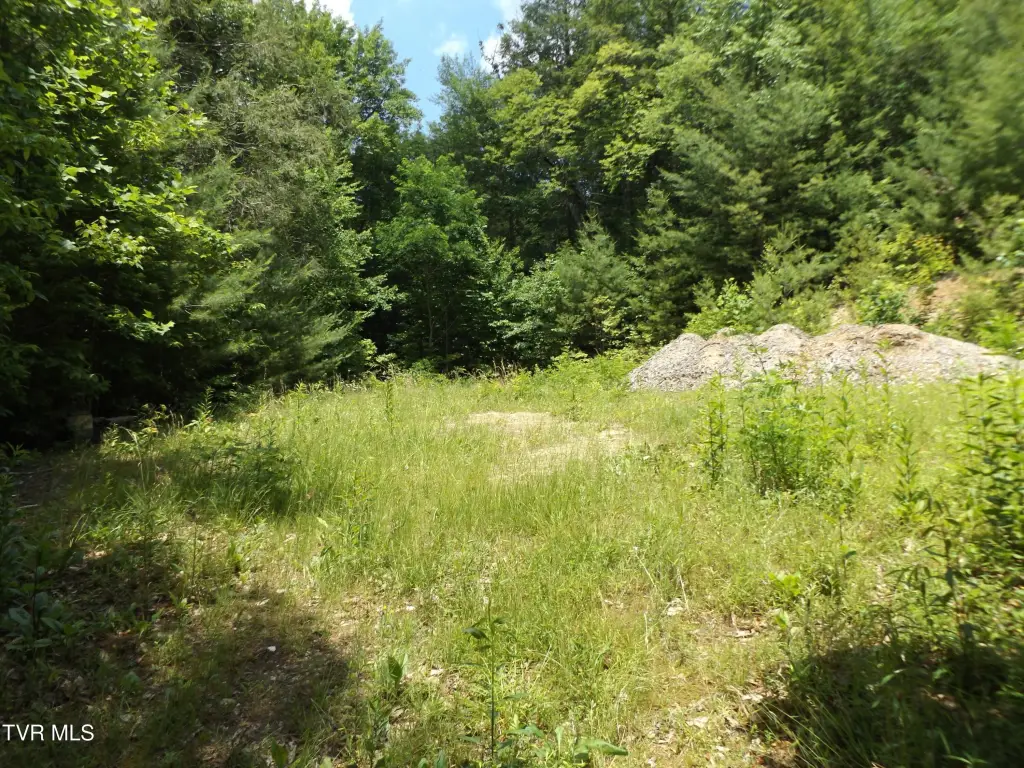 Picture 3