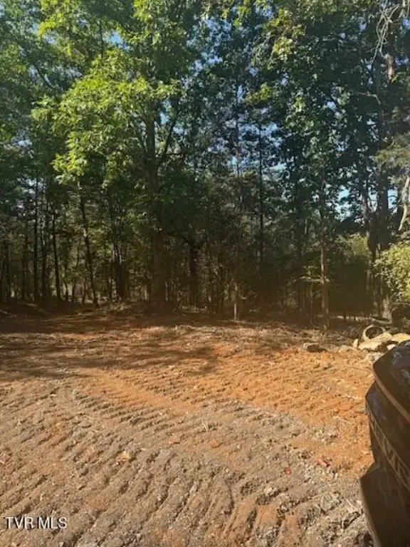 Picture 2