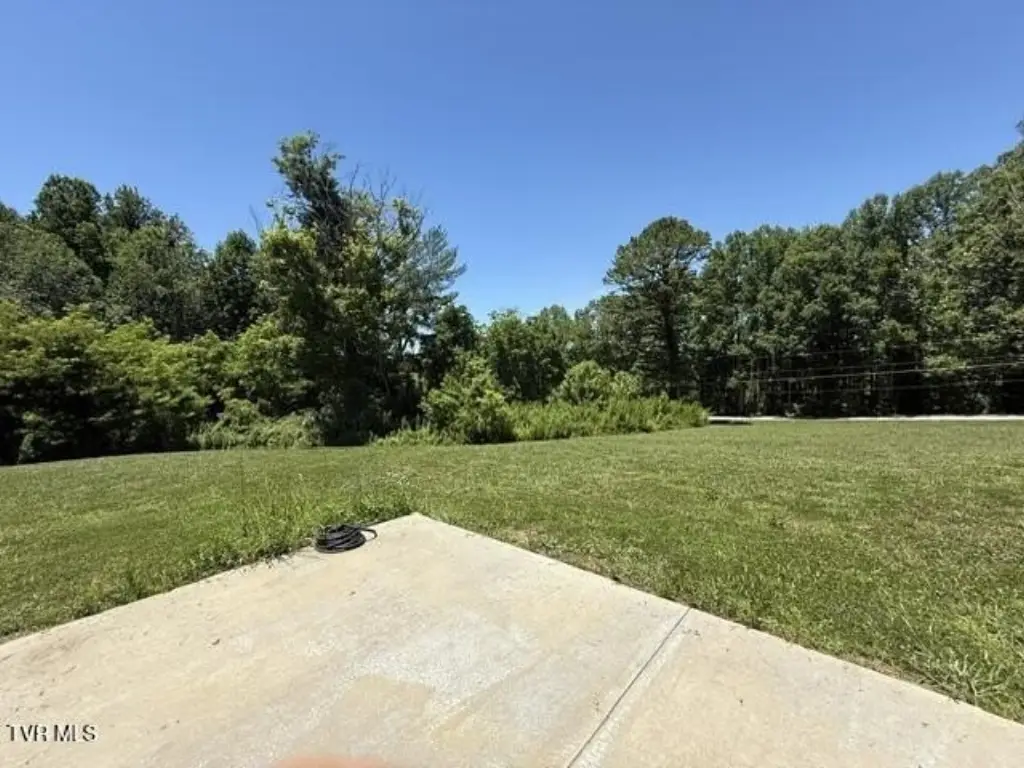 Picture 48