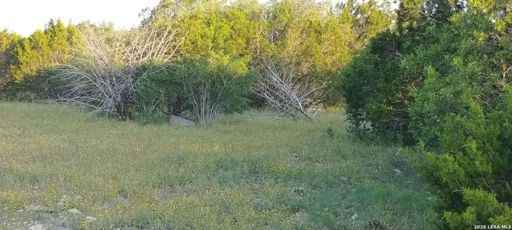 Picture 14