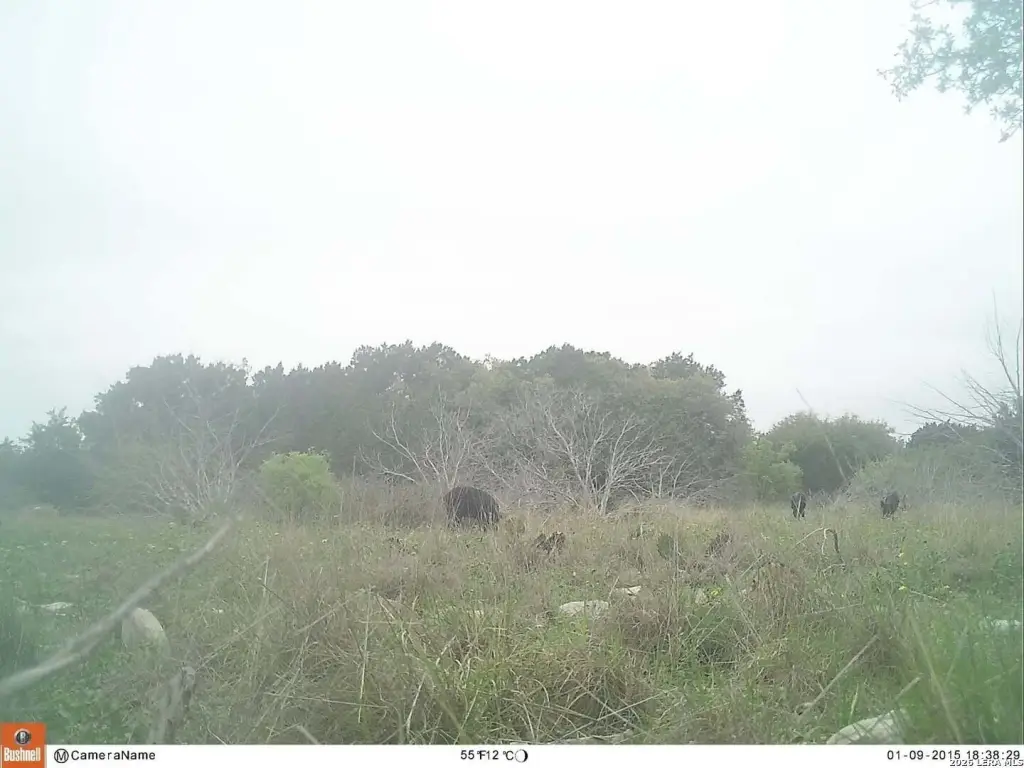 Picture 16