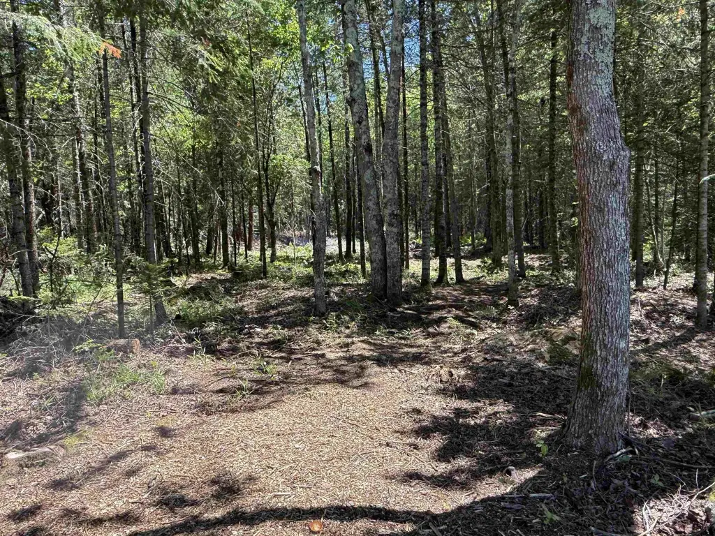 Picture 21