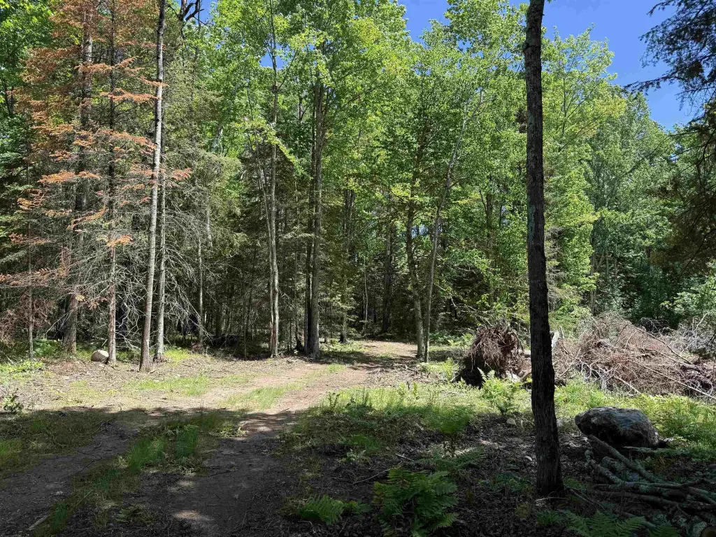Picture 29